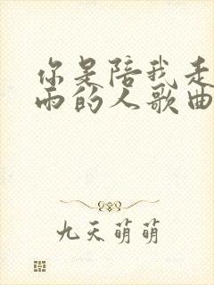 你是陪我走过风雨的人歌曲