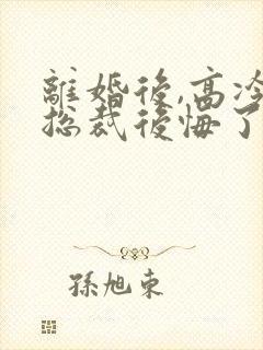 离婚后,高冷女总裁后悔了txt