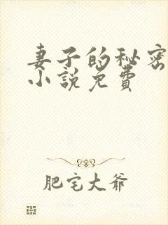 妻子的秘密吴双小说免费