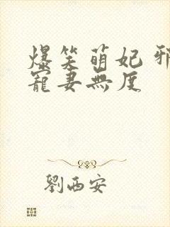 爆笑萌妃 邪王宠妻无度封面