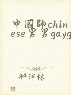 中国帅chinese男男gaygay网站xnxx封面