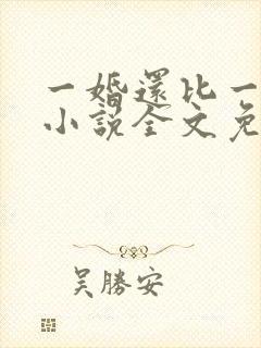 一婚还比一婚高小说全文免费阅读