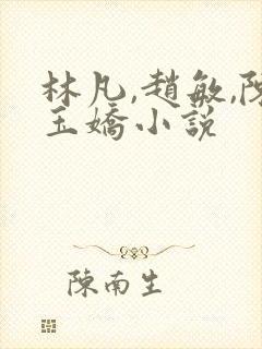 林凡,赵敏,陈玉娇小说封面