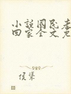 小说国民老公带回家全文免费阅读