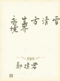 永生方清雪什么境界封面