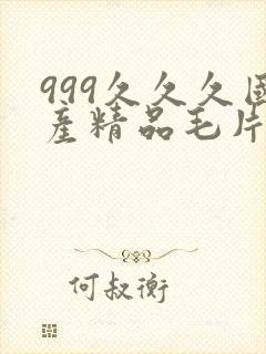 999久久久国产精品毛片封面