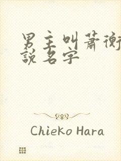 男主叫萧衡的小说名字