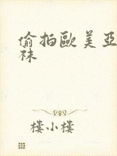 偷拍欧美亚洲丝袜