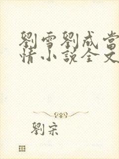 刘雪刘成当代爱情小说全文免费笔趣阁