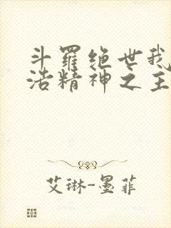 斗罗绝世我霍雨浩精神之主笔趣阁