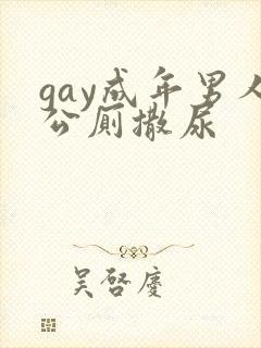 gay成年男人公厕撒尿
