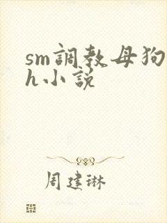 sm调教母狗高h小说