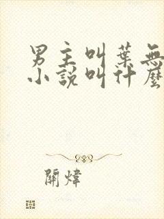 男主叫叶无道的小说叫什么名字