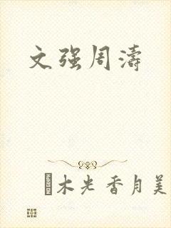 文强周涛