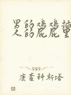 男的鸡鸡插进女人的屁屁里的视频