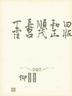 丁长顺和田晓兰霍吕茂正版