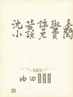 沈若锦与秦琅的小说免费阅读