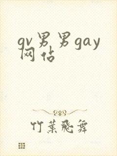 gv男男gay网站