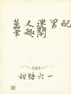 万人迷男配np笔趣阁