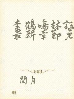 李鹤鸣林钰小说最新章节免费阅读封面