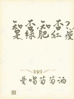 知否,知否?应是绿肥红瘦原著小说