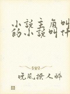 小说主角叫景言的小说叫什么名字