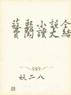 苏熙小说全文免费阅读大结局封面