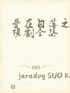 爱在日落之前电视剧全集