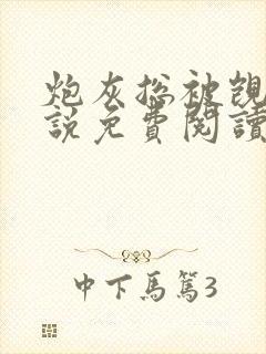 炮灰总被觊觎小说免费阅读