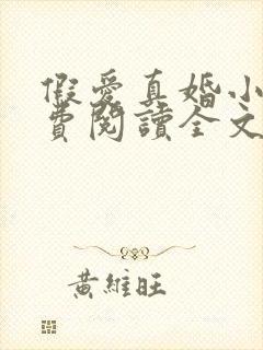 假爱真婚小说免费阅读全文