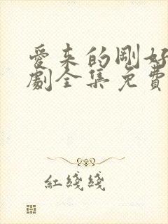 爱来的刚好电视剧全集免费观看完整版