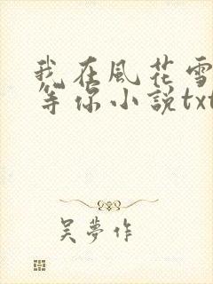 我在风花雪月里等你小说txt文档