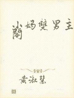 小妈双男主笔趣阁
