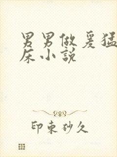 男男做爰猛烈叫床小说