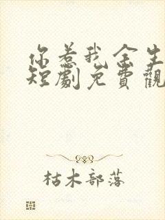 你惹我余生落寞短剧免费观看全集