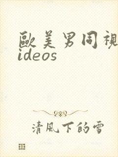 欧美男同视频videos