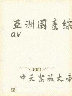 亚洲国产综合性av