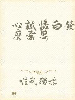 心诚怜白发玄什么意思封面