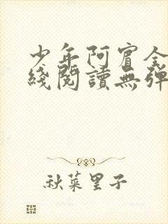 少年阿宾全文在线阅读无弹窗