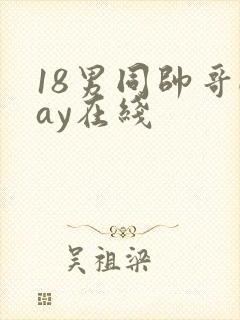 18男同帅哥gay在线