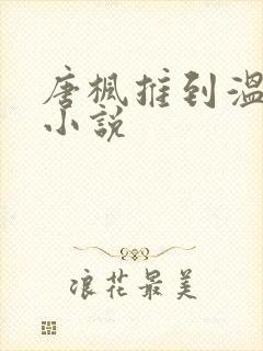 唐枫推到温碧云小说封面