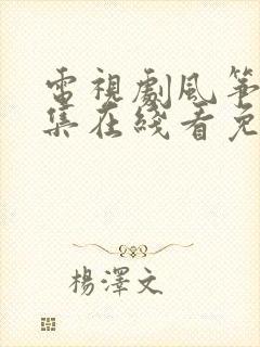 电视剧风筝51集在线看免费封面