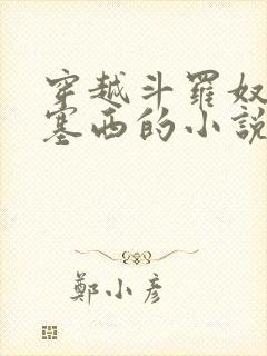 穿越斗罗奴役波塞西的小说