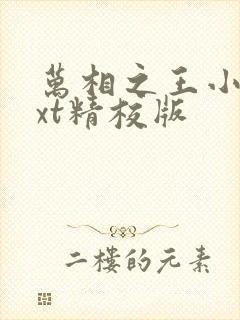 万相之王小说txt精校版封面