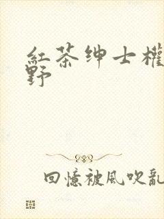 红茶绅士权倾朝野封面