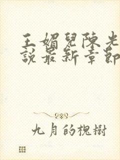 王媚儿陈光达小说最新章节更新时间封面