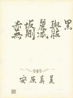 赤坂丽与黑人的无删减版