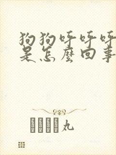 狗狗呼呼呼声音是怎么回事封面