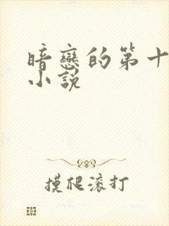 暗恋的第十一年小说