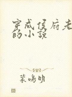 穿成侯府老夫人的小说